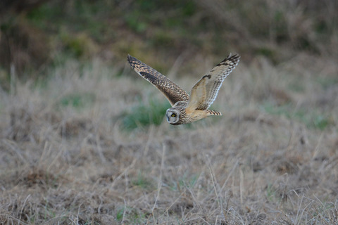 DSC_6994.JPG