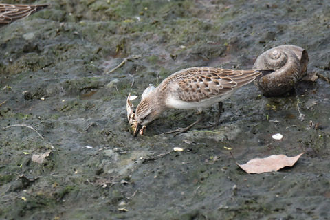 DSC_7058.jpg