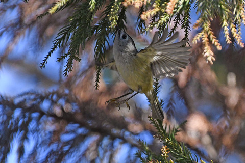 DSC_7059.jpg