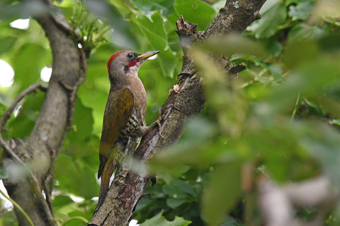 DSC_7112.jpg