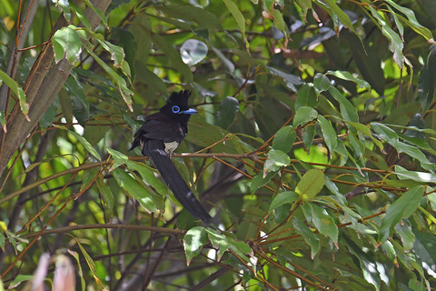 DSC_7147.jpg