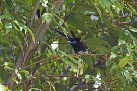 DSC_7162.jpg