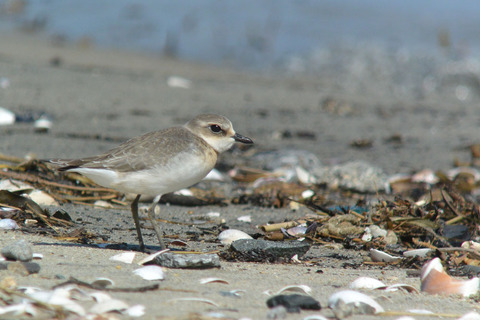 DSC_7162.jpg
