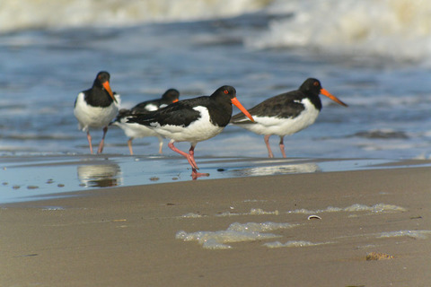 DSC_7165-1.jpg