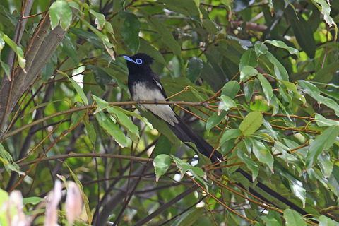 DSC_7174.jpg