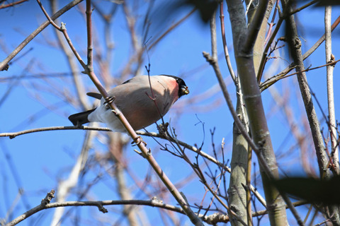 DSC_7178.jpg
