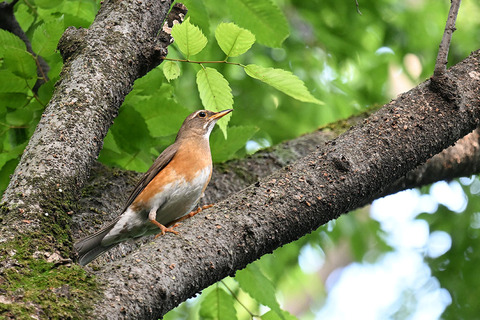 DSC_7180.jpg