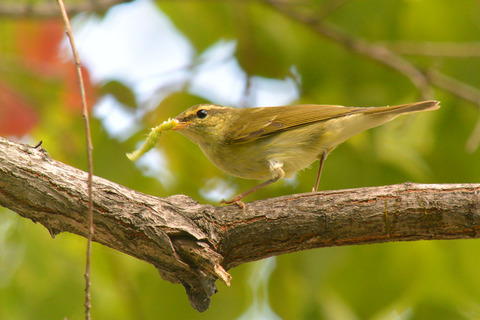 DSC_7194.jpg