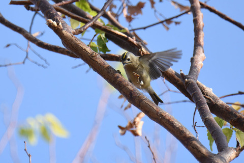 DSC_7197.jpg