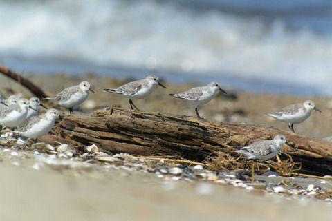 DSC_7202.jpg