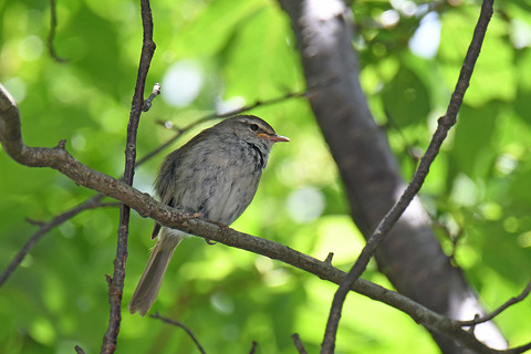 DSC_7210.jpg
