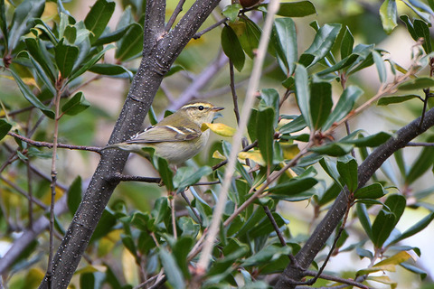 DSC_7216.jpg