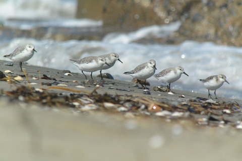 DSC_7218.jpg