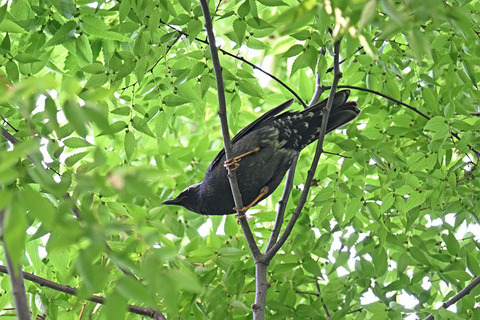 DSC_7246.jpg