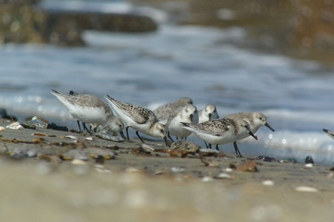 DSC_7253.jpg