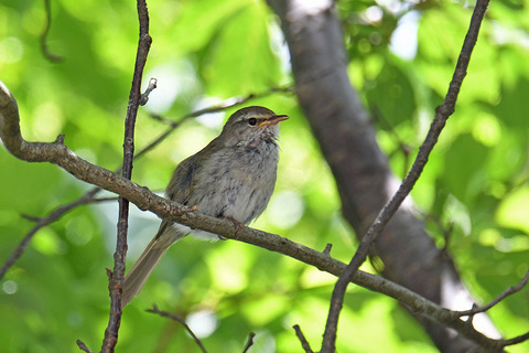 DSC_7260.jpg
