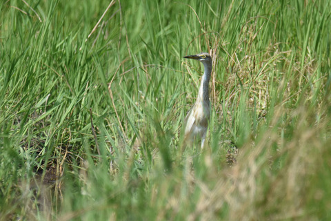 DSC_7316.jpg