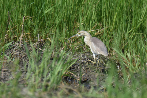 DSC_7392.jpg