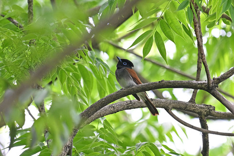 DSC_7403.jpg