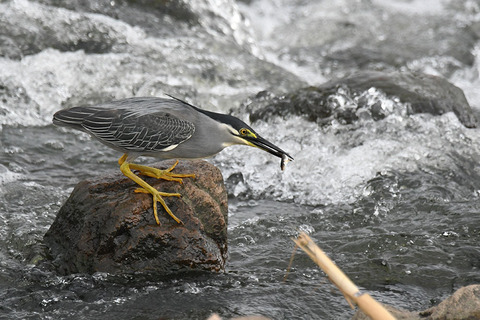 DSC_7413.jpg