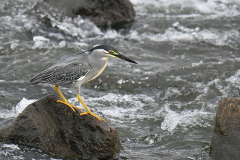 DSC_7458.jpg
