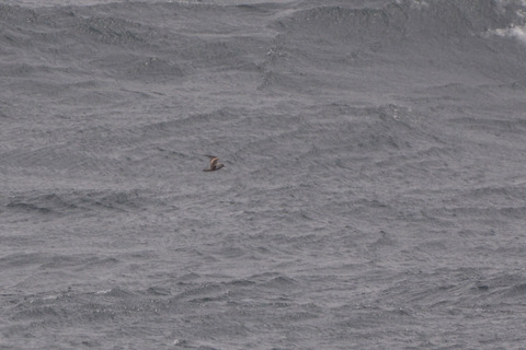 DSC_7476.jpg
