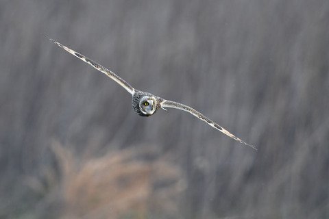 DSC_7496.jpg