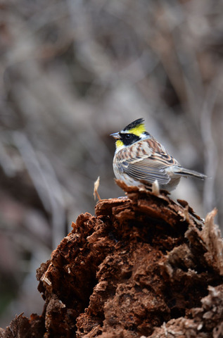 DSC_7508.jpg