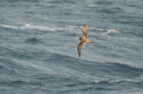 DSC_7556.jpg
