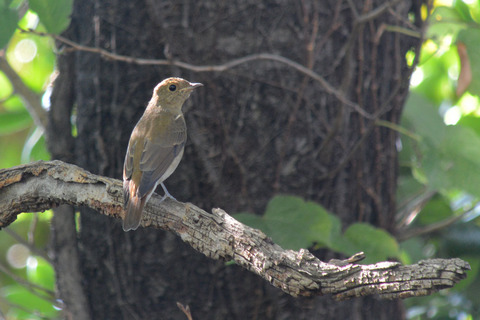 DSC_7574.jpg