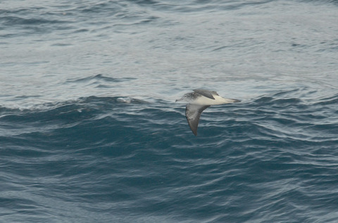 DSC_7576.jpg