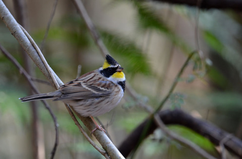 DSC_7601.jpg