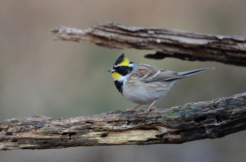 DSC_7611.jpg