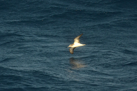 DSC_7635.jpg