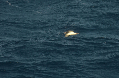DSC_7637.jpg