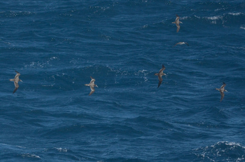 DSC_7673.jpg