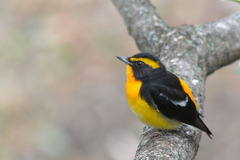 DSC_7690.jpg