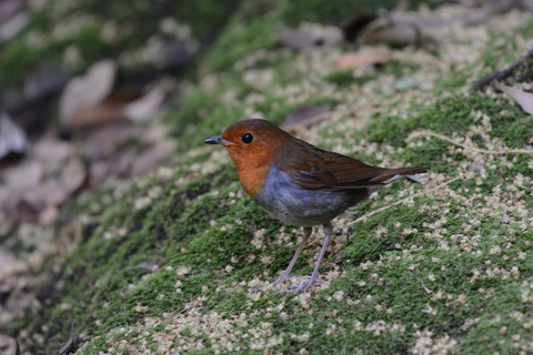 DSC_7705.jpg