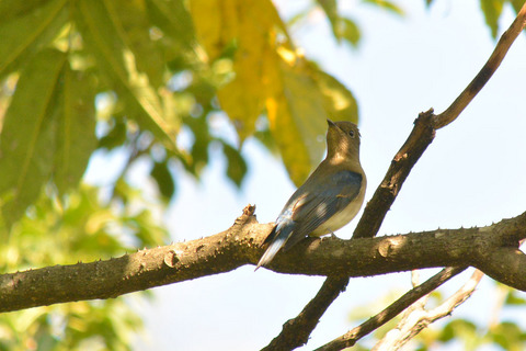 DSC_7735.jpg