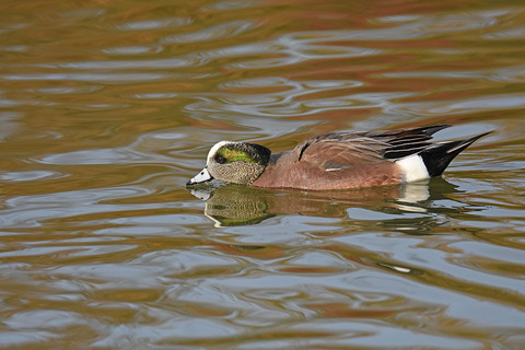 DSC_7738.jpg