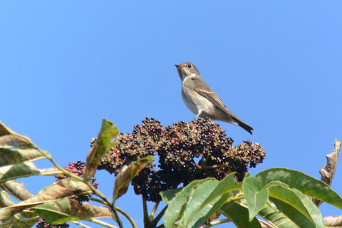 DSC_7750.jpg