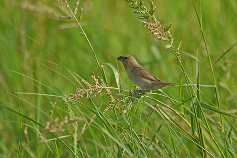 DSC_7759.jpg