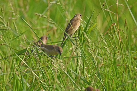 DSC_7761.jpg