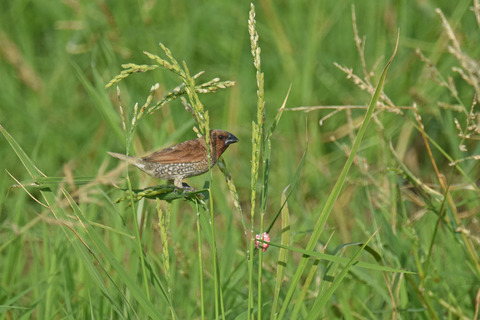 DSC_7772.jpg