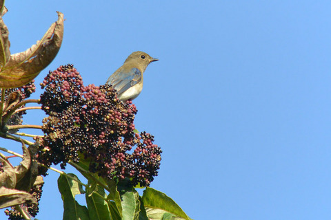 DSC_7787.jpg