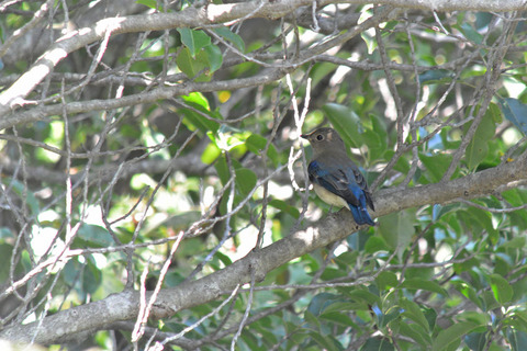 DSC_7793.jpg
