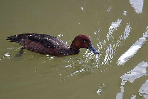 DSC_7815.jpg