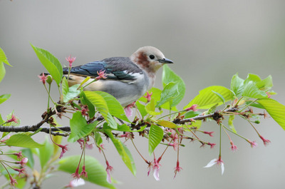 DSC_7846.jpg