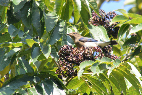 DSC_7851.jpg