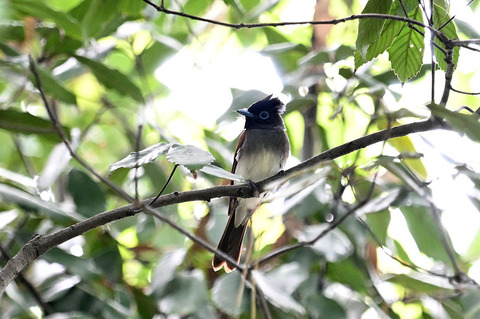 DSC_7866.jpg